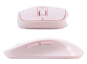 MOUSE WIRELESS TEROS TE-1234S PK