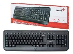 TECLADO GENIUS KB-118 USB NEGRO